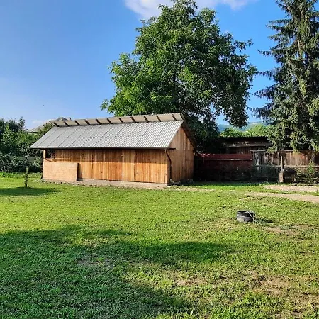 Vila Mura House Vişeu de Sus