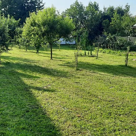 Mura House Villa Viseu de Sus