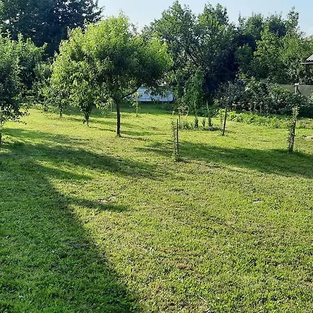 Mura House * Viseu de Sus